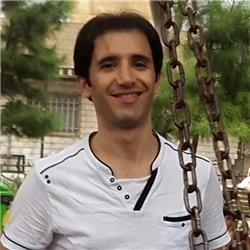 Mojtaba Azarani