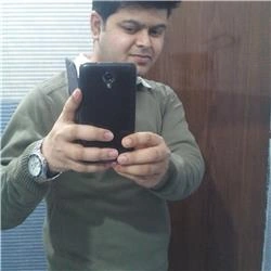 Panna Chatterjee
