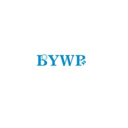 Bywb Bearing