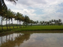 Murugan