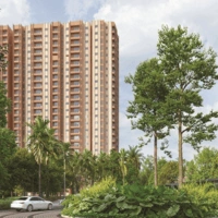 Purva Northern Lights