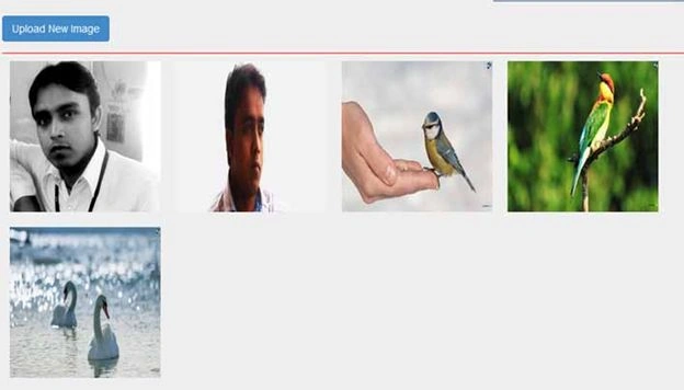Images