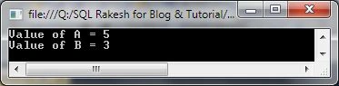 Parameterized Constructor