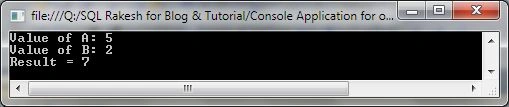 public Encapsulation output