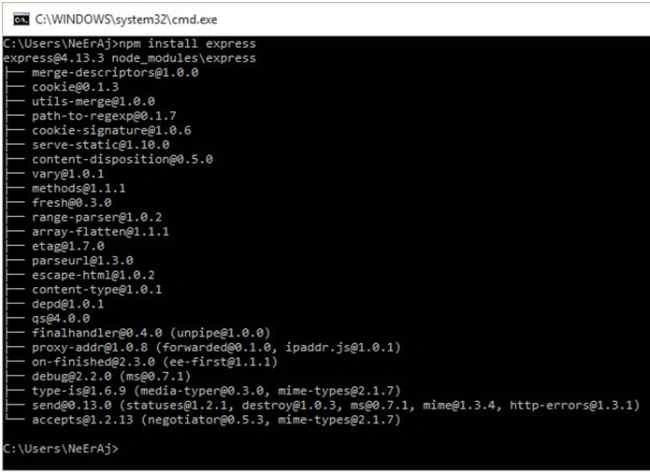 npm install express