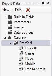 dataset1