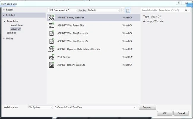 ASP.NET web site EMPTY project