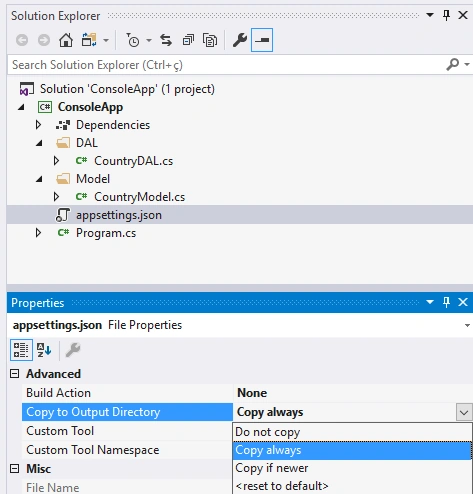 Access SQL Server DataBase In .NET Core Console Application