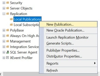 Local publications(2)-