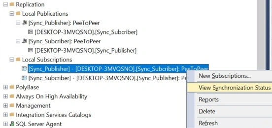 Syn publisher desktop (28)-