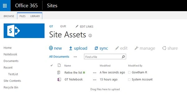 site Assests