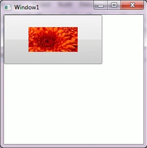 wpf1.gif