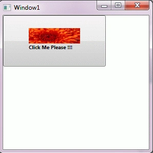 wpf3.gif