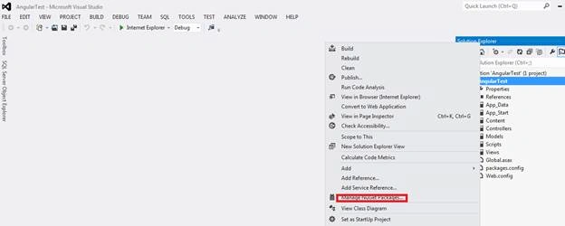 Manage Nuget package