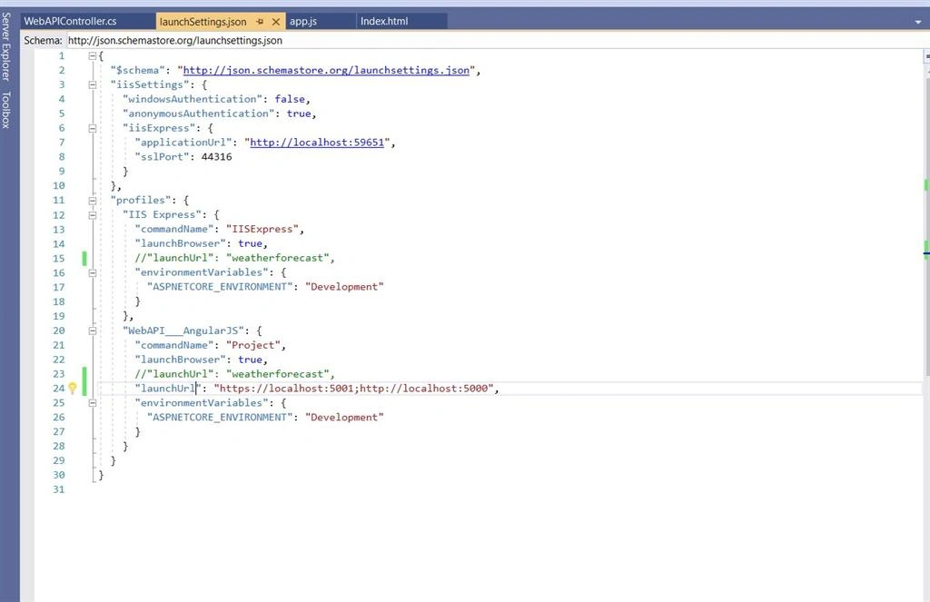 Creating WebAPI Project With Angular