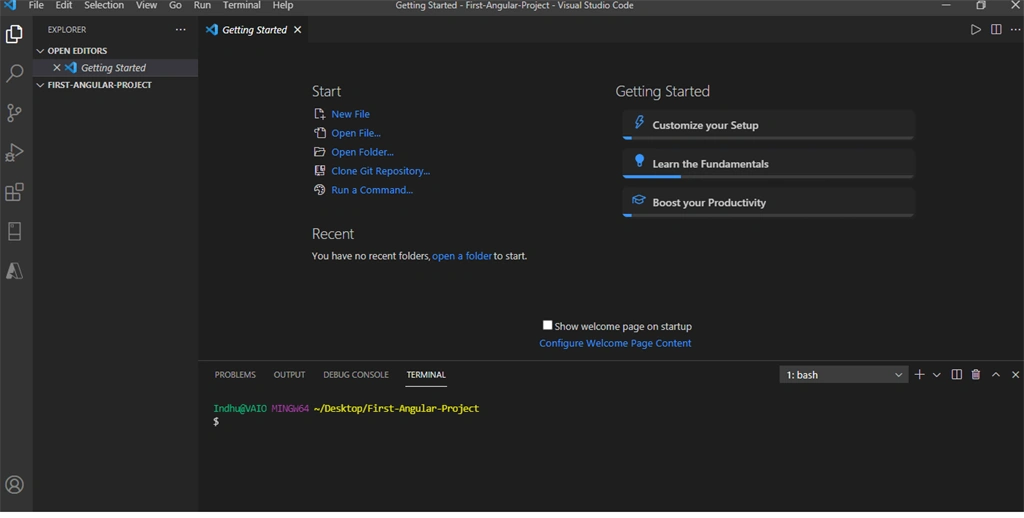 Step By Step Guide To Create An Angular Project