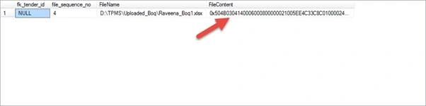 Excel File