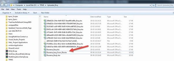 Excel File