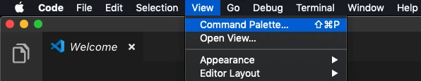 Create A First Flutter App In Visual Studio Code