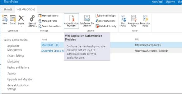 Web Application