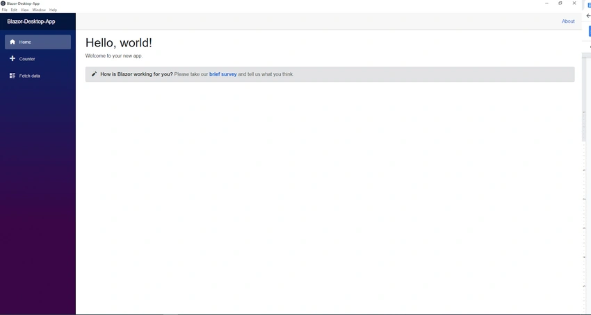 blazor web assembly application