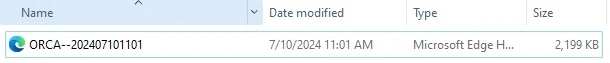 HTML Report 