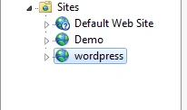Wordpress