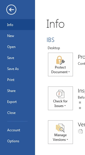 Word2013Int.png