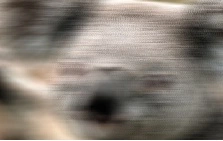 DirectionalBlur.jpg