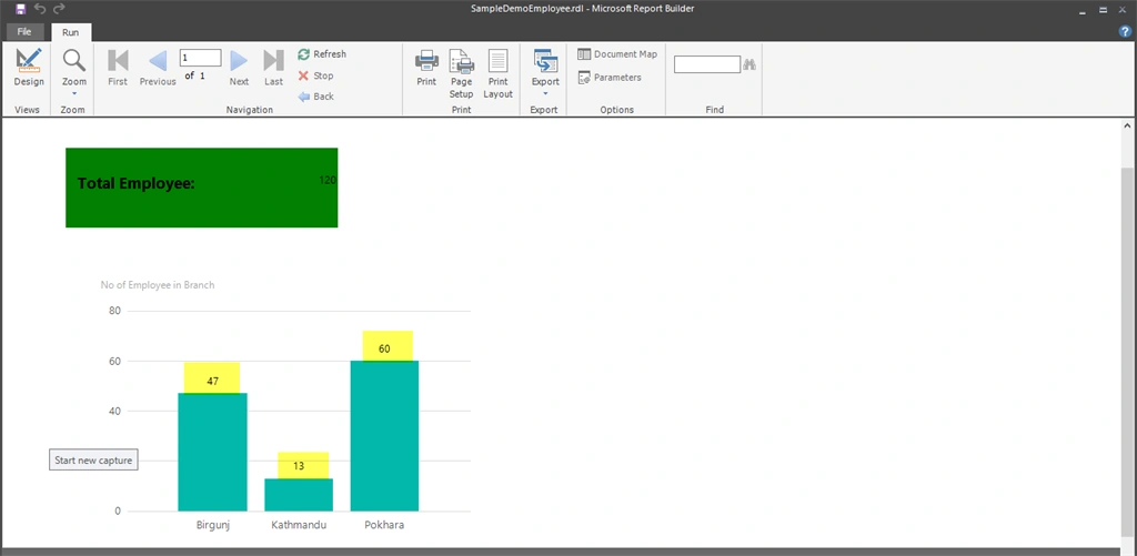 Build SSRS (RDL) Report From Microsoft Report Builder