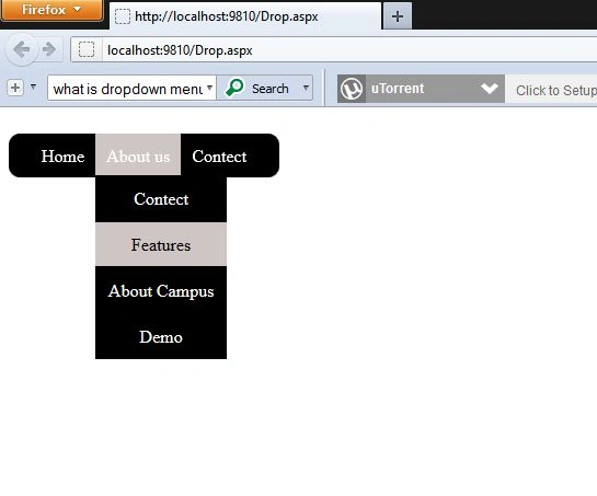 HTML and CSS code of drop down list