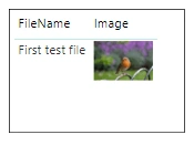 report tab