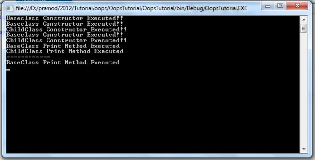 program output