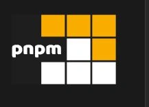 pnpm