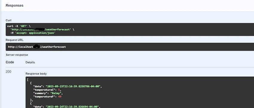 API Response