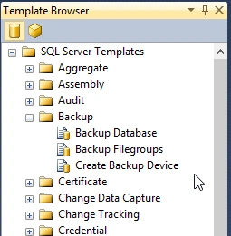 Template explorer