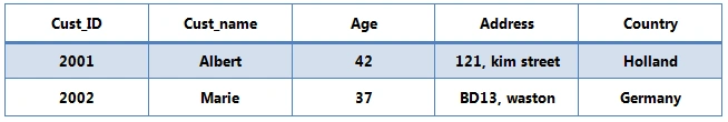 Cust_table.png