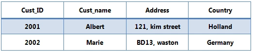 Cust_table1.png