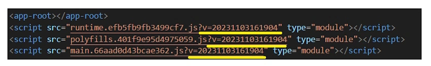 Code with cache busting