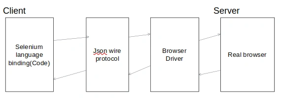 Working of selenium webdriver