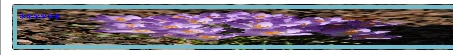fig5.gif