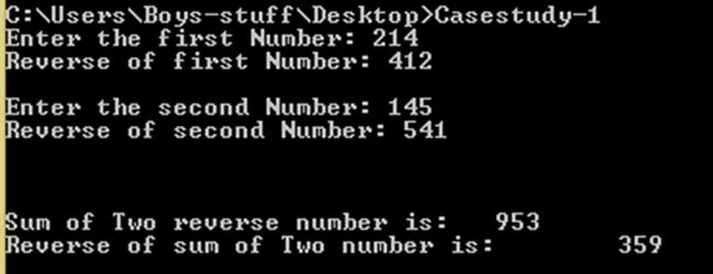 program output