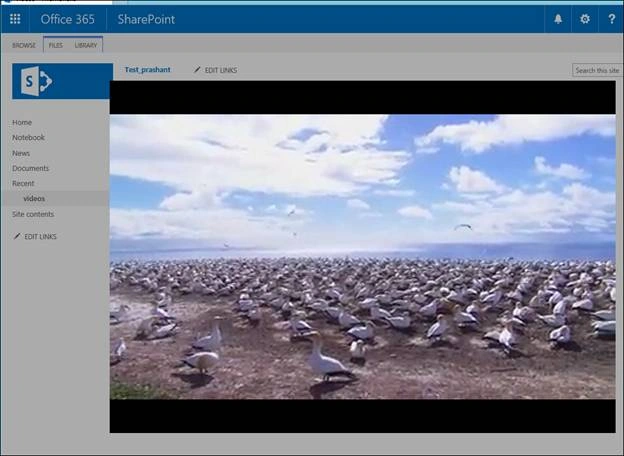 SharePoint 