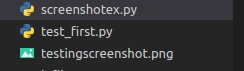 Screenshot image