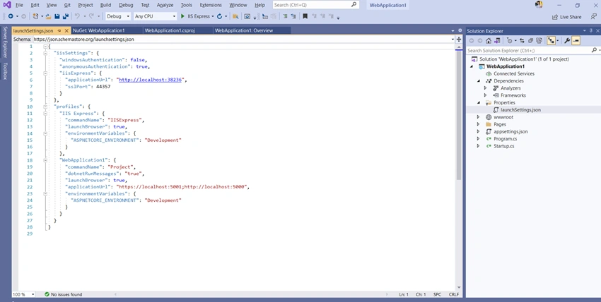 Create ASP.NET Project with .NET 5.0 and Structure