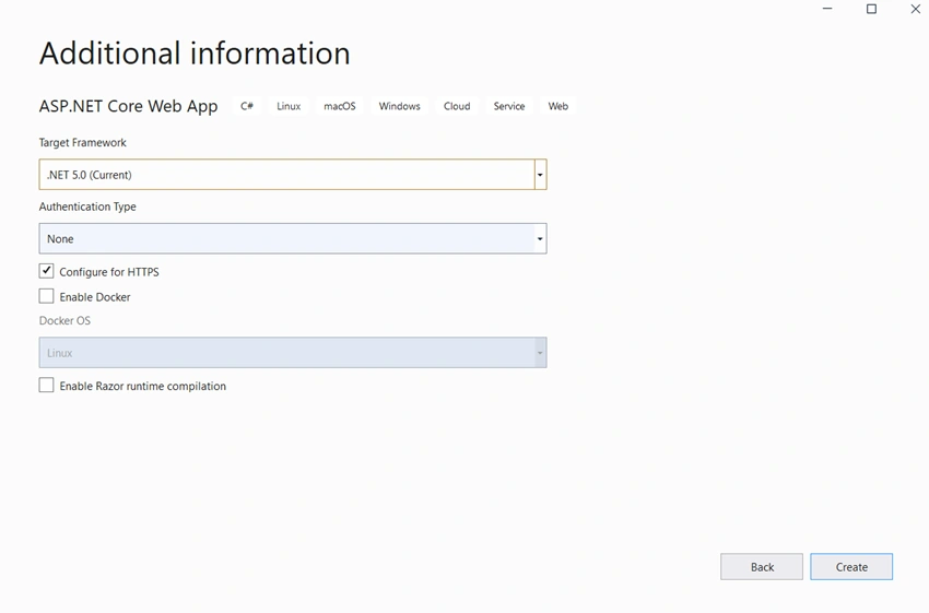 Create ASP.NET Project with .NET 5.0 and Structure