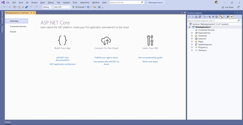 Create ASP.NET Project with .NET 5.0 and Structure