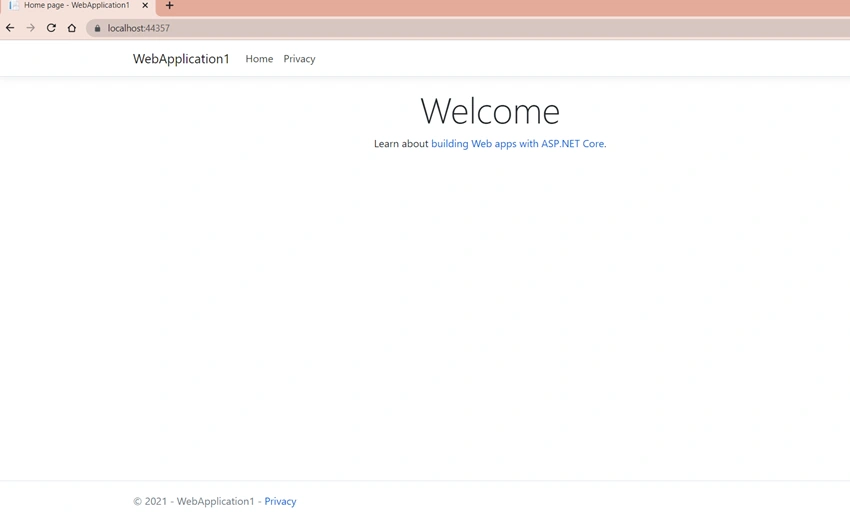 Create ASP.NET Project with .NET 5.0 and Structure