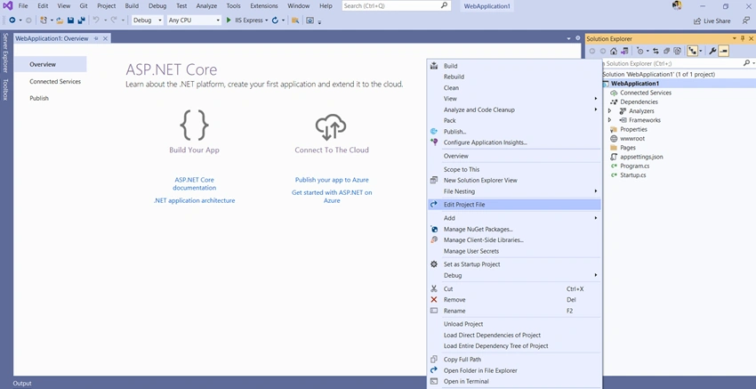Create ASP.NET Project with .NET 5.0 and Structure