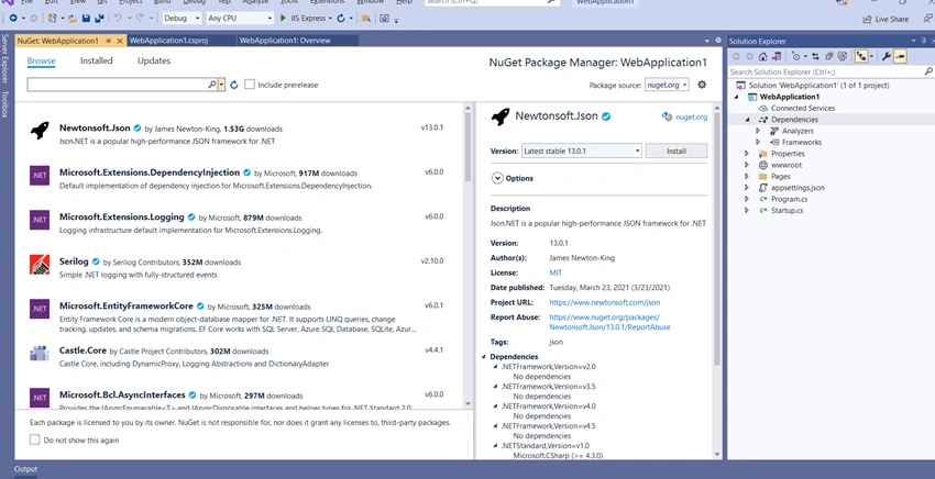 Create ASP.NET Project with .NET 5.0 and Structure